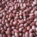 A Grade Hot Sale Red Skin Peanut Kernels/Groundnut